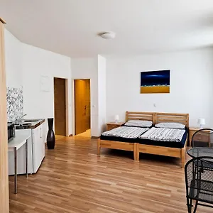 Apartament Youth Service, Viena